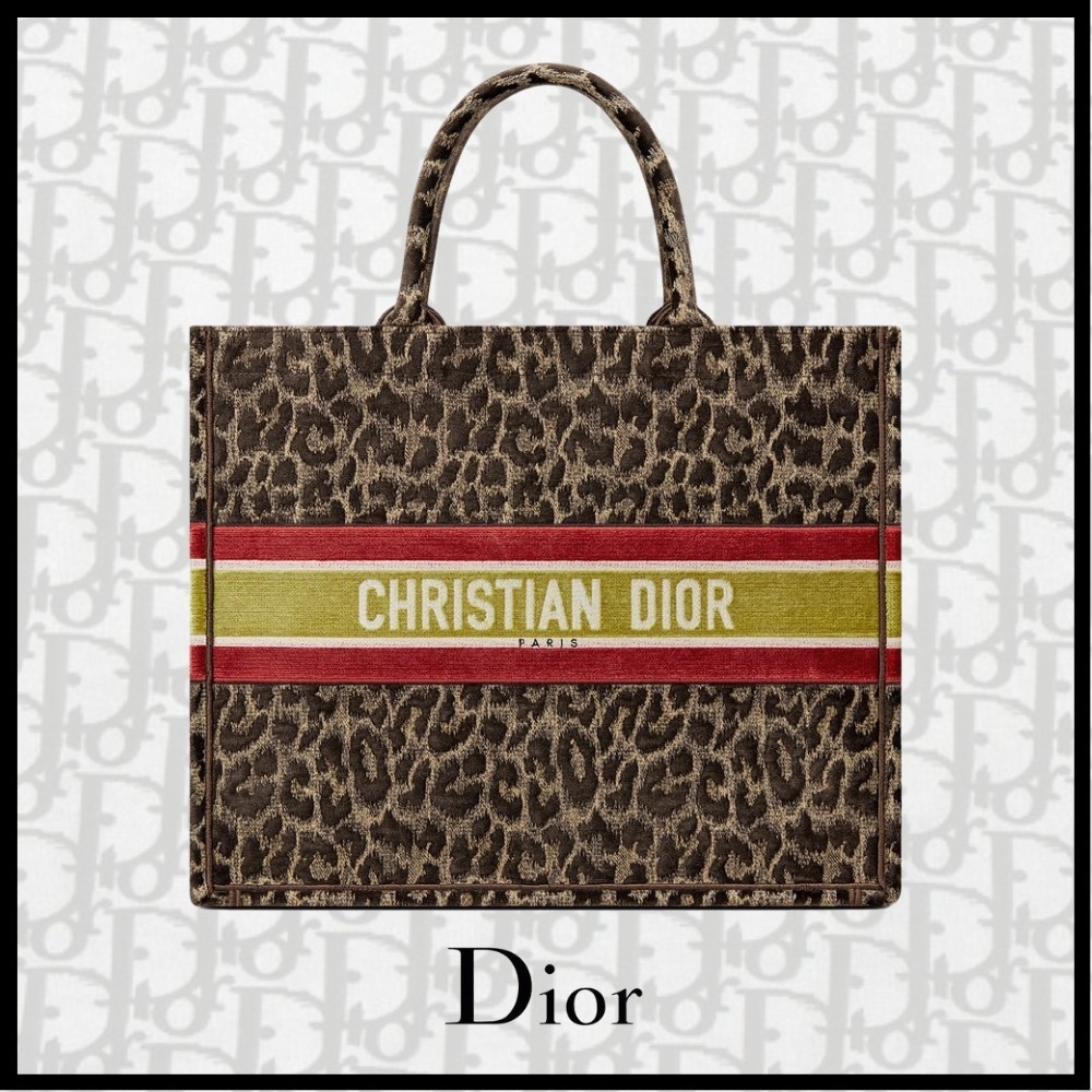 ** REAR ** Dior book tote 2021-22FW